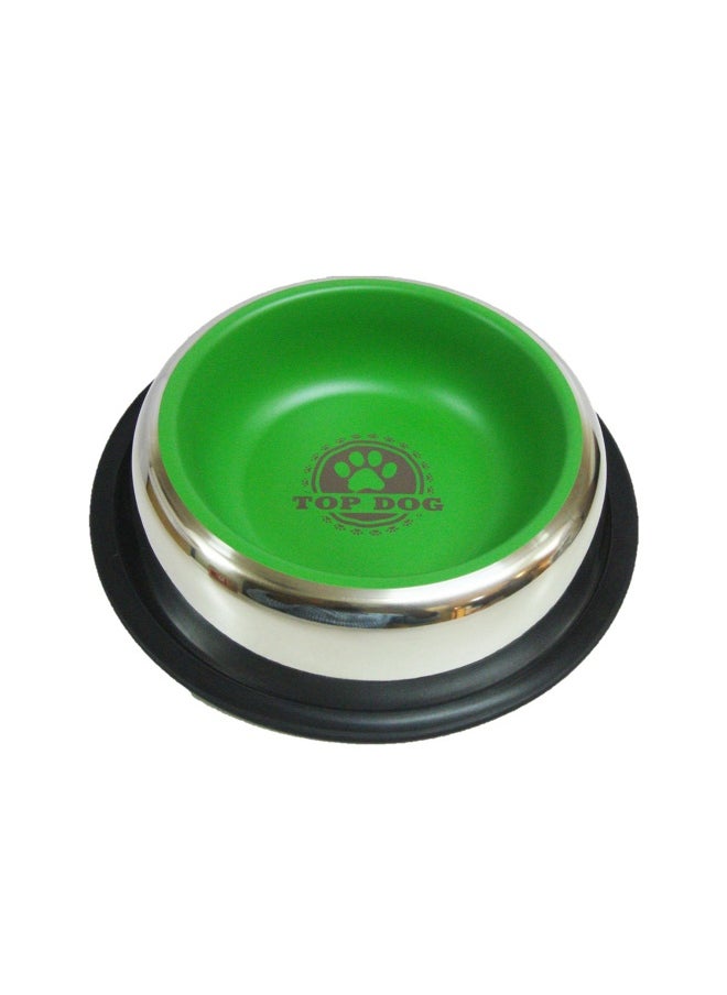 RainTech Raintech Bottom Paint & Print Stainless Steel Special Pet Bowl - 23.0cm 