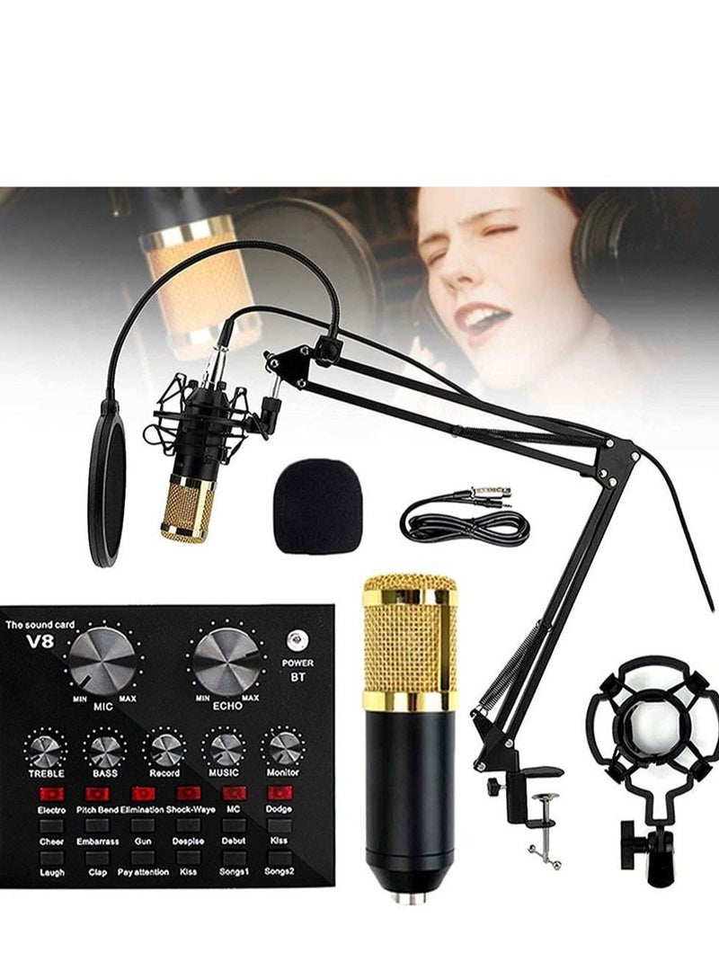 ELTRAZONE Microphone,Live Sound Card & BM800 Suspension Microphone Kit Broadcasting Recording Condenser Microphone Set Intelligent Volume Audio Mixer Sound Card for Computer PC Live Sound - Image 1