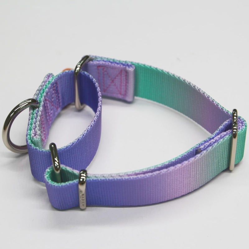 Axdvk Martingale Dog Collar Colorful Gradient Fashionable - Anti-Escape Soft Durable Pets Collar for Walking Training Outdoor Daily Use -Medium, Purple Green - Image 3