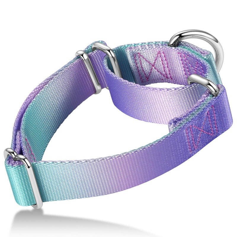Axdvk Martingale Dog Collar Colorful Gradient Fashionable - Anti-Escape Soft Durable Pets Collar for Walking Training Outdoor Daily Use -Medium, Purple Green - Image 1