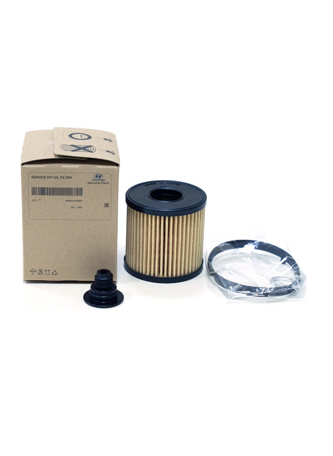 HYUNDAI - Oil Filter (Elantra 2020 - 2023 CN7 2.0 MPI (PLTM) )HY-263502J001 - Image 1