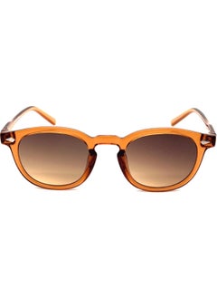 DV VG1063 C31 Unisex Sunglasses