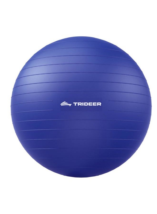 Trideer Extra Thick Yoga & Exercise Ball, 5 Sizes Ball Chair, Heavy Duty to Support 2200lbs, for Balance, Stability, Pregnancy and Physical Therapy, Quick Pump Included (Indigo Blue, L(58-65cm)) - Image 1
