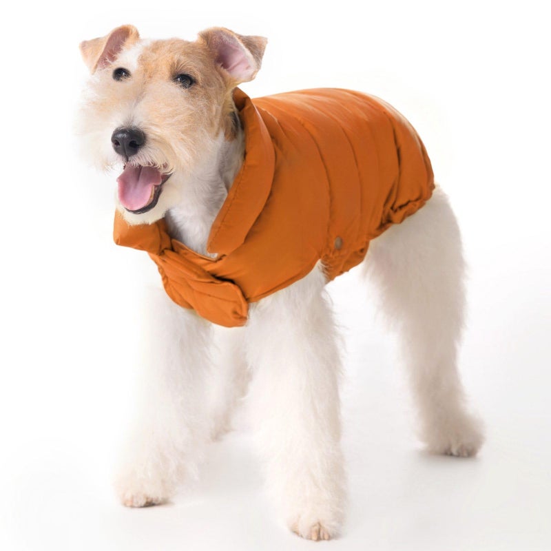 SPACE LION Dog Puffer Jacket, Down Winter Coat, Durable Outdoor Coat for Cold and Windy Conditions, Lightweight & Adjustable Fit Coats for Small & Medium Dogs, (Orange, Size 12 Gift Box) - Image 1
