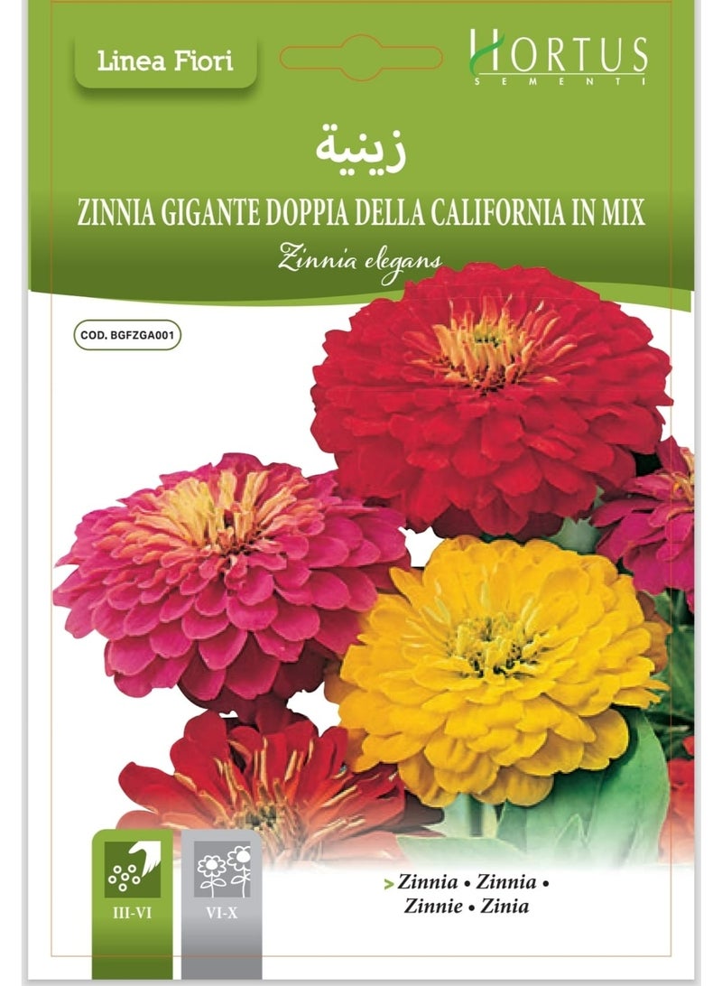 Zinnia Seeds