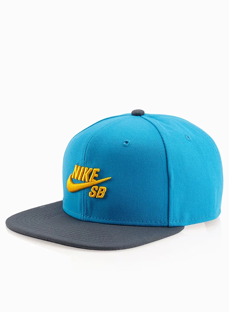 Nike SB Snapback