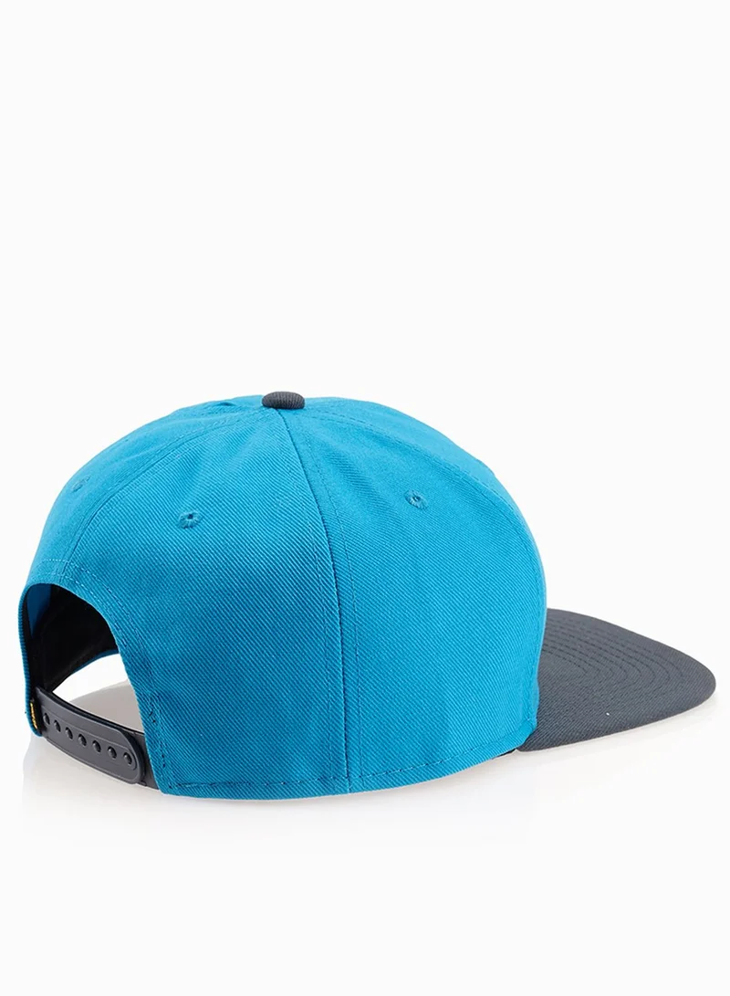 Nike SB Snapback