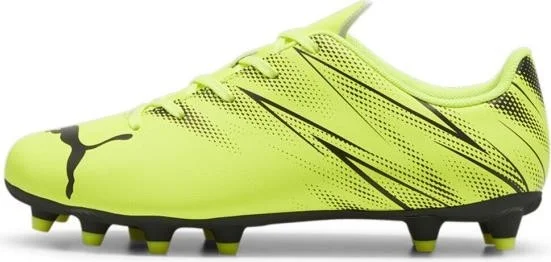 PUMA Attacanto Fg/ag Jr Green Kids Football Shoes 10748007