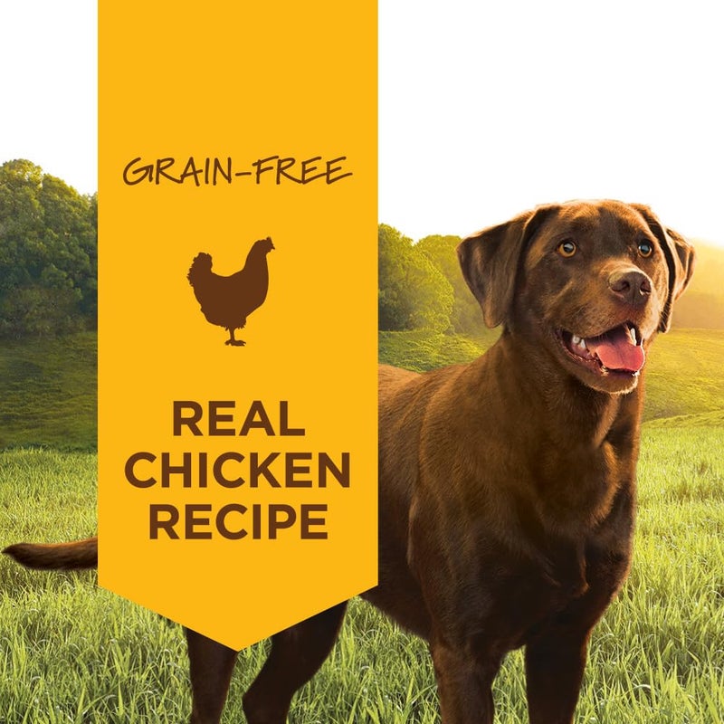 Instinct Original Wet Dog Food, Grain Free Recipe - Real Chicken, 13.2 oz. Cans (Pack of 6) - Image 2