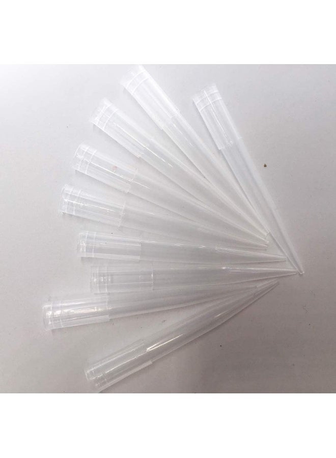 KOOTIPS Fresh Flower Cake Spikes Clear Plastic Flower Water Tubes Floral Tubes for Flower Arrangements (L) - Image 5