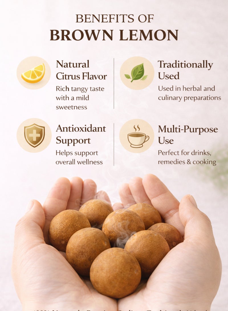 Zahr Brown Lemon – Premium Whole Dried Brown Lemon (Citrus limon) | Natural Herbal Lemon for Gardening, Horticulture, Potpourri & Traditional Herbal Use - Image 4