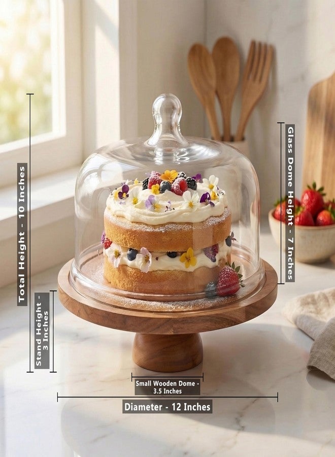 DHAMPOOH Cake Stand with Clear Dome Lid - Wooden Base Dessert Display Stand for Cakes, Pastries & Cupcakes - Cake Keeper with Cover for Kitchen, Party & Home Decor - Image 2