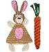 BoomBone Easter Dog Toys for Small Dogs 2 Pack Carrot Dog Rope Toy and Bunny Crinkle Puppy Toy - Image 3