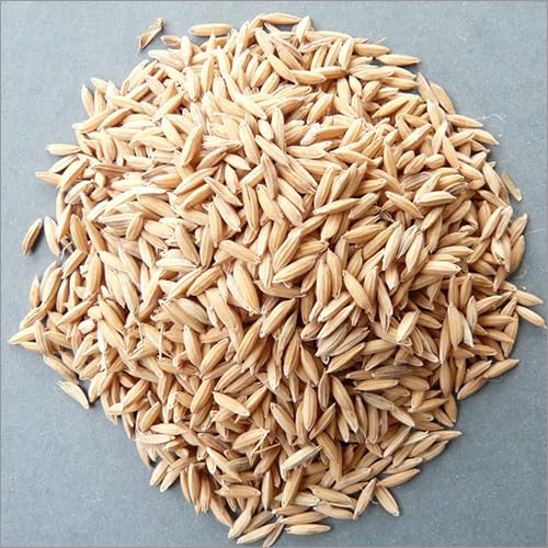 Green World Brown Rice Paddy Seeds for Farming & Agriculture (1 Kg) - Image 4