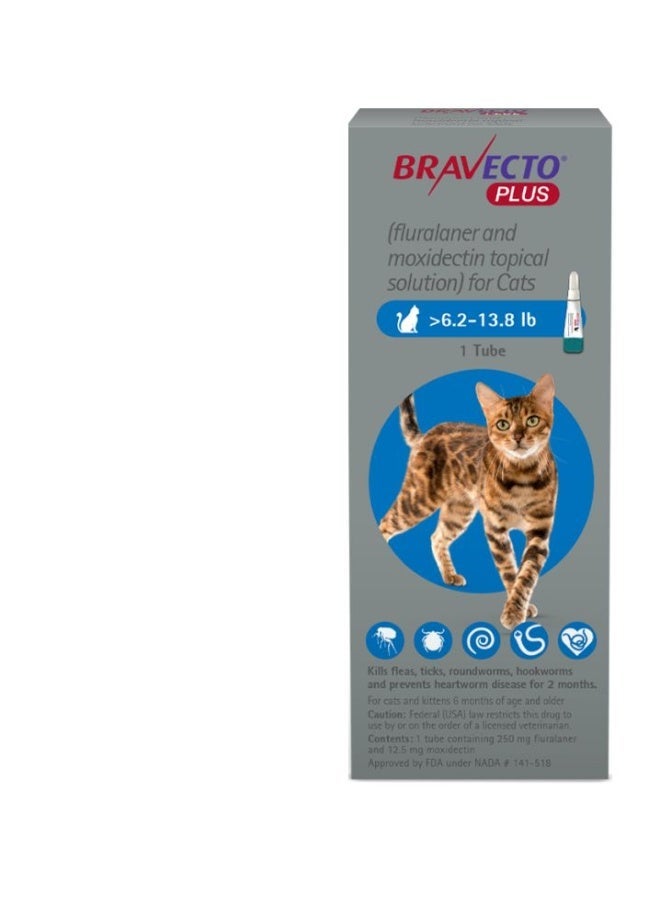 BRAVECTO PLUS Topical Solution for Cats, Flea, Tick & Heartworm - Image 1