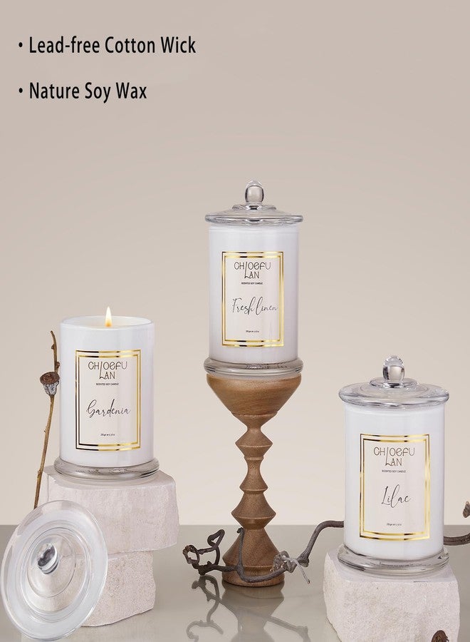 Chloefu LAN شمعة معطرة برائحة بلسم التنوب من كلويفو لان، شموع منزلية للعطلات معطرة بنفحات من خشب الأرز والبلوط والطحلب والتنوب، ديكور عيد الميلاد، هدايا عيد الميلاد للنساء والرجال، شموع شتوية، تدوم 70 ساعة، 10 أونصة - Image 5