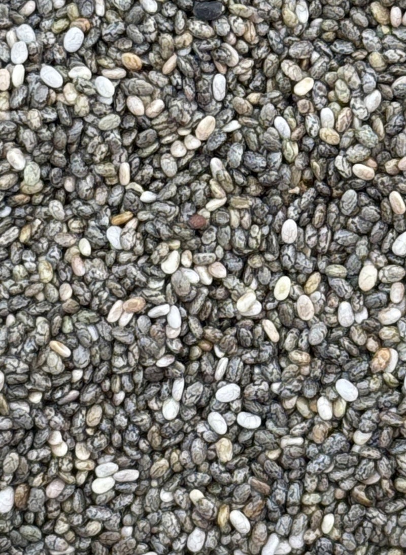 CHIA SEEDS 500 GM - Image 2