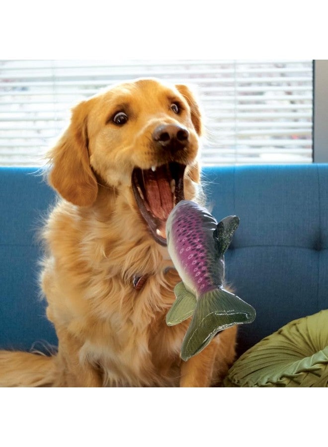 كونج لعبة كونغ وايلد شيلد على شكل سمكة للكلاب من السلالات المتوسطة (التراوت) - Image 2