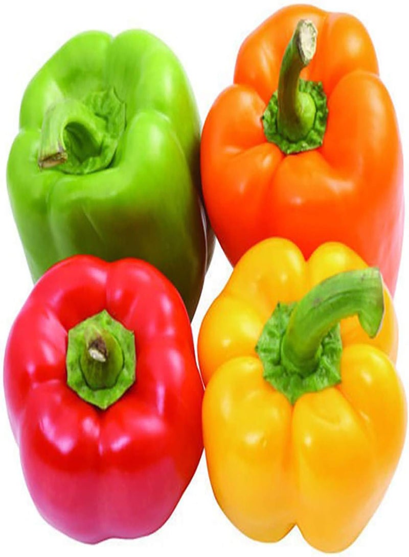 Green Garden Flower Plants-40Pcs/Bag Seeds Fresh Edible Living Household Rainbow Pepper Seeds for Greenhouse - Sweet Pepper Seeds