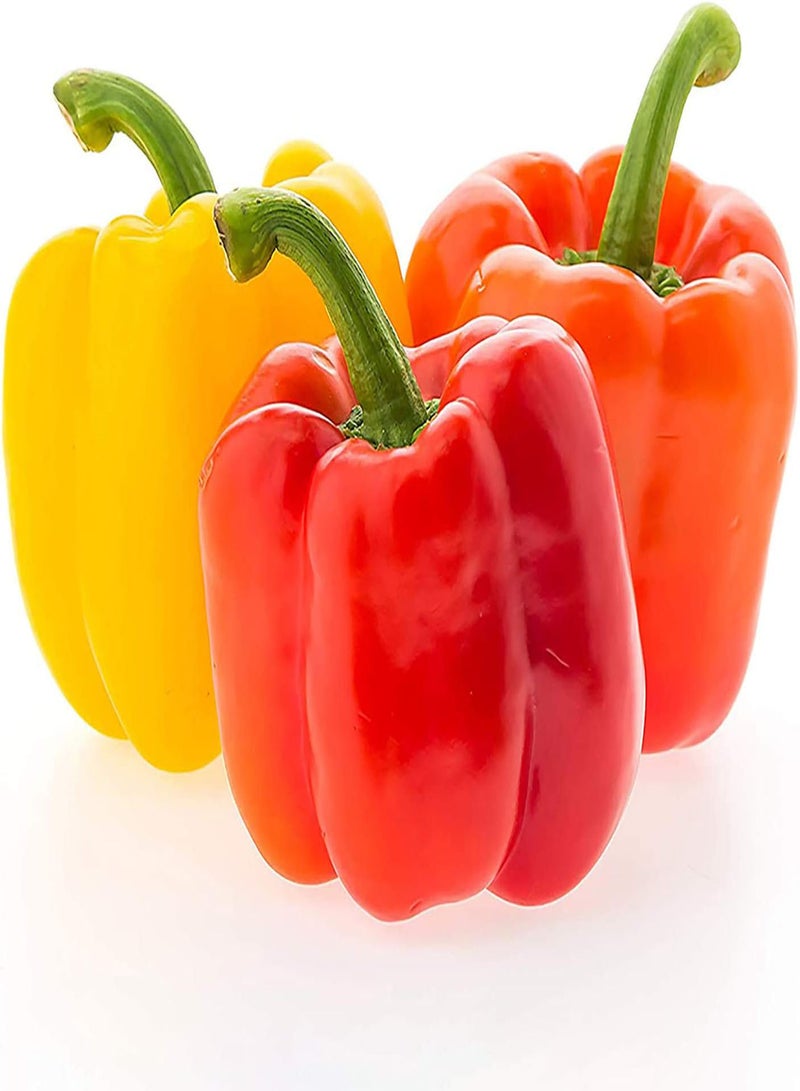 Green Garden Flower Plants-40Pcs/Bag Seeds Fresh Edible Living Household Rainbow Pepper Seeds for Greenhouse - Sweet Pepper Seeds