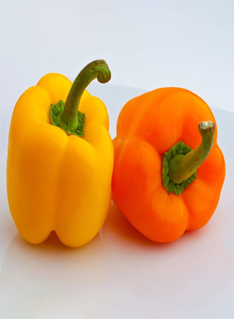 Green Garden Flower Plants-40Pcs/Bag Seeds Fresh Edible Living Household Rainbow Pepper Seeds for Greenhouse - Sweet Pepper Seeds
