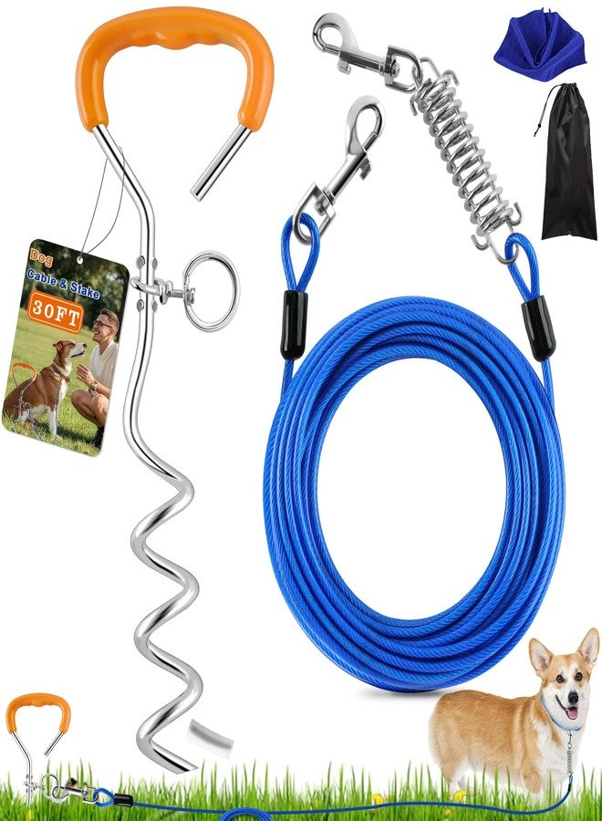 LANNEY Dog Tie Out Cable and Stake, 30ft Leash Chain Lead with Swivel Hook and Shock Spring for Yard Outside Camping, 16 inch Heavy Duty Spiral Ground Stake for Medium Large Dogs Up to 125 Lbs - Image 1