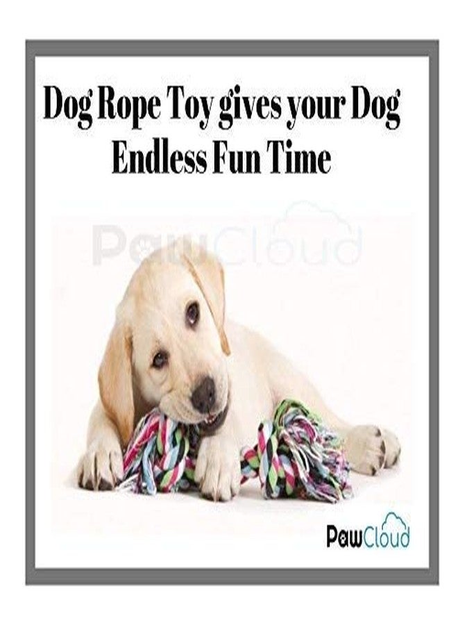 PawCloud Multicolour 3 Knots Cotton Rope Dog Toy - 16 inche and Dog Hole Ball Toy Large - Image 5