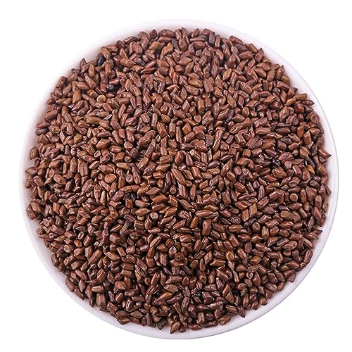 MIHUNTANG Cassia Seed Tea 17.63 oz Jue Ming Zi Cooked Cassia Seeds Angustifolia Tea cooked frying - Image 3
