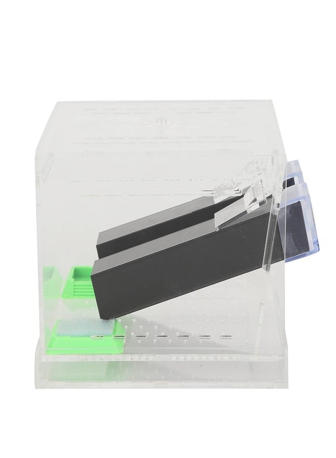 Shanrya Acrylic Cricket Keeper, Ventilated Cricket Cage Removable Lid Cricket Enclosure with Feces Layer & Tubes for Observation of Small Pets Breeding (L) - Image 1