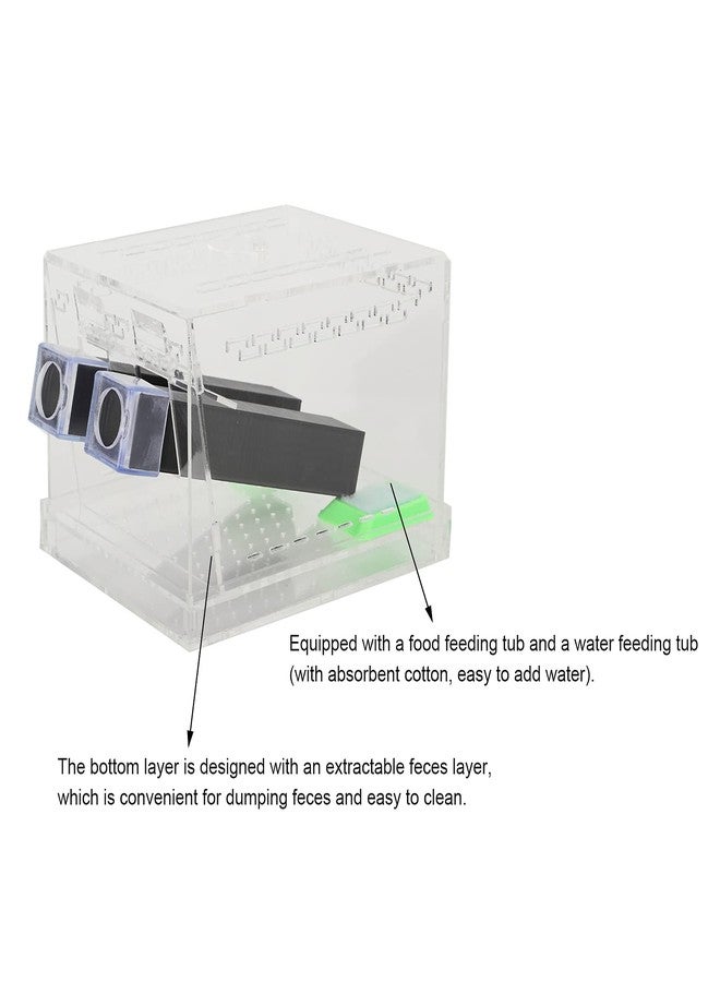 Shanrya Acrylic Cricket Keeper, Ventilated Cricket Cage Removable Lid Cricket Enclosure with Feces Layer & Tubes for Observation of Small Pets Breeding (L) - Image 4