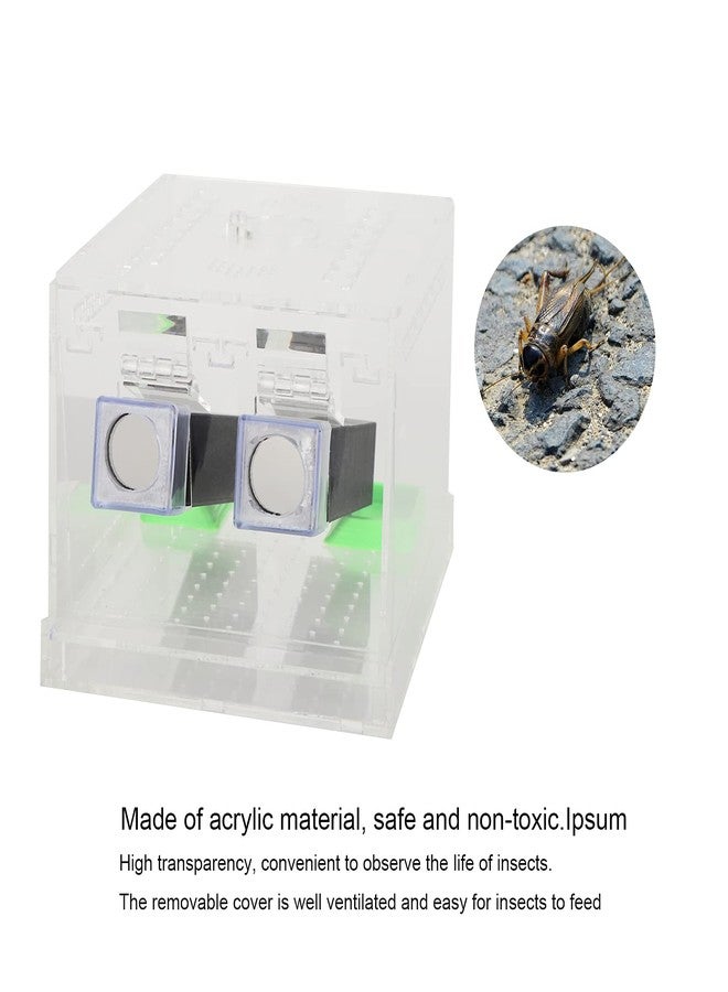 Shanrya Acrylic Cricket Keeper, Ventilated Cricket Cage Removable Lid Cricket Enclosure with Feces Layer & Tubes for Observation of Small Pets Breeding (L) - Image 3