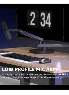 Lizard Boom Arm MI0 Mic Arm Desk Mount, Low Profile 360° Swivel Mic Boom Arm, Adjustable Microphone Arm With Detachable Rise Column And Built-In Cable Management Microphone Stand For Streaming And Recording Mic Stand - pzsku/ZAFCF02073AFF86789EF1Z/45/_/1733340611/38fc4f13-e090-40ed-8364-58d5c25a09ae