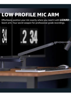 Lizard Boom Arm MI0 Mic Arm Desk Mount, Low Profile 360° Swivel Mic Boom Arm, Adjustable Microphone Arm With Detachable Rise Column And Built-In Cable Management Microphone Stand For Streaming And Recording Mic Stand - pzsku/ZAFCF02073AFF86789EF1Z/45/_/1733340651/b46681fc-f6d3-4493-aca0-5432b3eec537