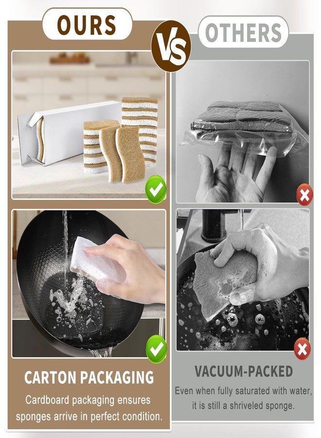 RPBHY 15 Pack Biodegradable Natural Kitchen Sponge - Compostable Cellulose and Coconut Walnut Scrubber Sponge - Eco Friendly Non Toxic Sustainable Sponges for Kitchen Dishes, Non Scratch Cleaning Sponge - Image 5