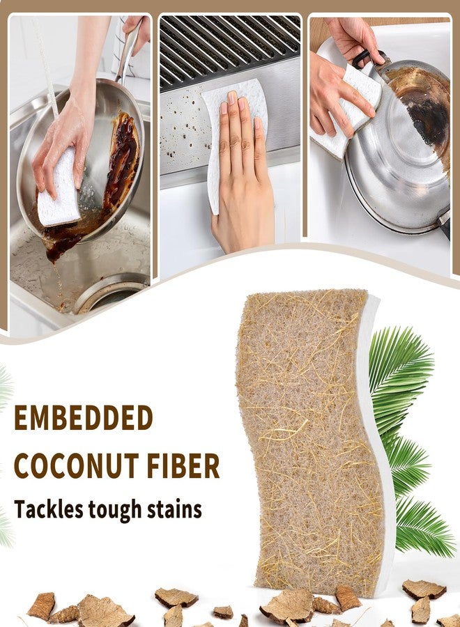 RPBHY 15 Pack Biodegradable Natural Kitchen Sponge - Compostable Cellulose and Coconut Walnut Scrubber Sponge - Eco Friendly Non Toxic Sustainable Sponges for Kitchen Dishes, Non Scratch Cleaning Sponge - Image 3