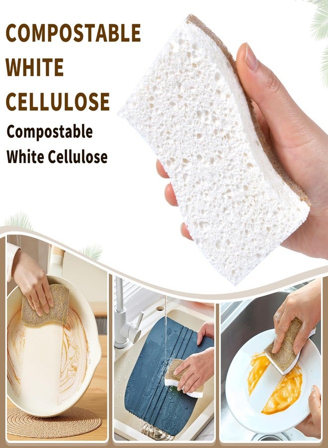 RPBHY 15 Pack Biodegradable Natural Kitchen Sponge - Compostable Cellulose and Coconut Walnut Scrubber Sponge - Eco Friendly Non Toxic Sustainable Sponges for Kitchen Dishes, Non Scratch Cleaning Sponge - Image 4