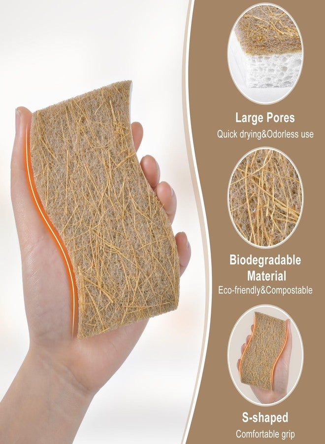 RPBHY 15 Pack Biodegradable Natural Kitchen Sponge - Compostable Cellulose and Coconut Walnut Scrubber Sponge - Eco Friendly Non Toxic Sustainable Sponges for Kitchen Dishes, Non Scratch Cleaning Sponge - Image 2
