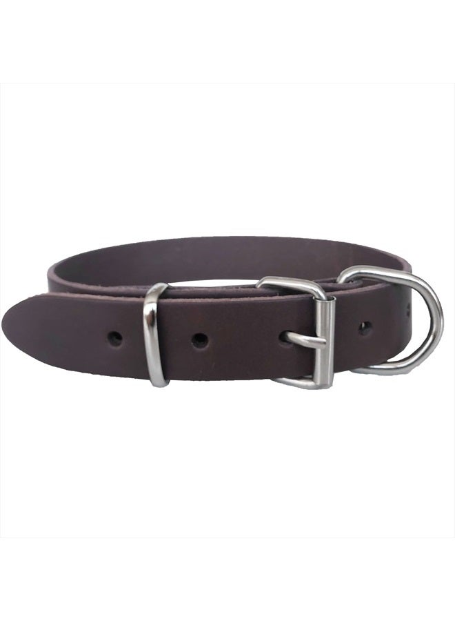 MONODOG Premium Leather Dog Collar - Durable and Fashionable Straight Collar for Comfortable Control and Training (Medium (13-18" (33-46cm)), Dark Brown) - Image 1