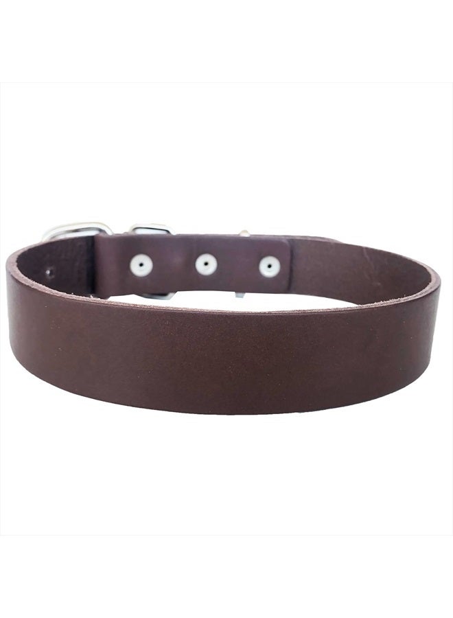 MONODOG Premium Leather Dog Collar - Durable and Fashionable Straight Collar for Comfortable Control and Training (Medium (13-18" (33-46cm)), Dark Brown) - Image 3