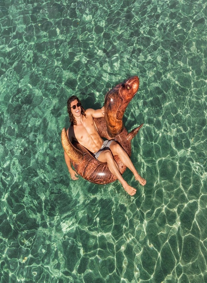 Poolcandy أنابيب السباحة والحلقات القابلة للنفخ من بول كاندي بحجم 42 بوصة (أنبوب السباحة القابل للنفخ على شكل ديناصور تي ريكس بحجم 42 بوصة) - Image 5