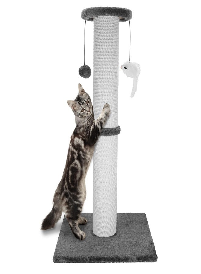 Ahomdoo Cat Scratching Post 34 Inches Heavy Duty and Thicker Cat Scratching Post Cotton Rope with Hanging Ball and Mice Scratching Post for Indoor Cats and Adult(Grey) - Image 1