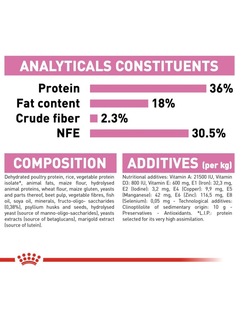 ROYAL CANIN Kitten Dry Cat Food 2kg – Complete Nutrition for Kittens Up to 12 Months - Image 3