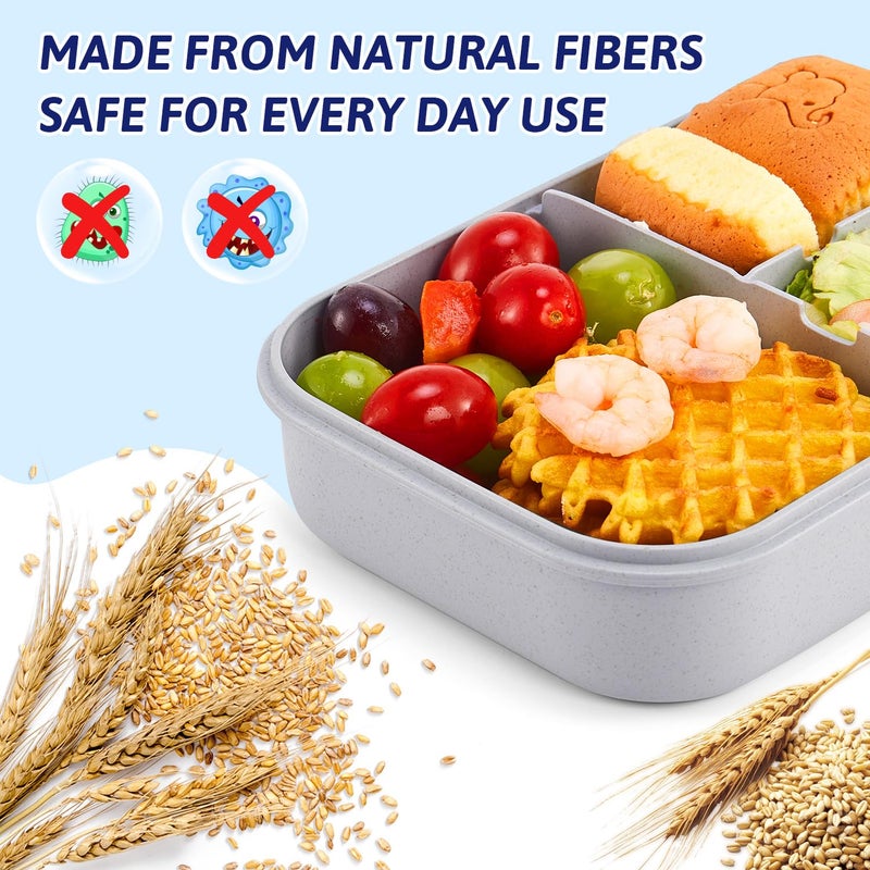 MISS BIG Bento Box for Kids, Leakproof Lunch Box, No BPAs & Chemical Dyes, M/W, D/W & Fridge Safe (1150ml Gray) - Image 4