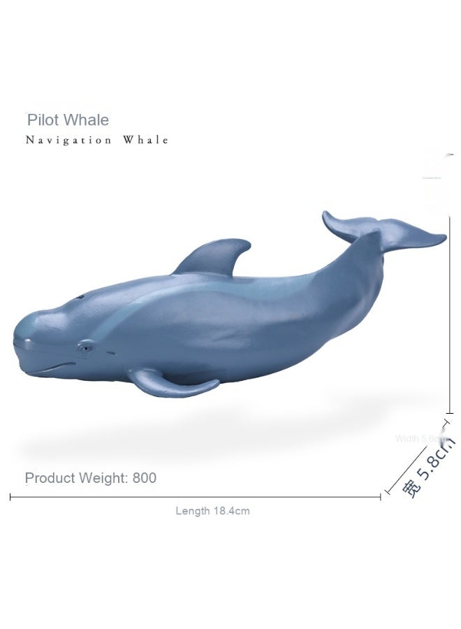NIBEMINENT Realistic Ocean Creatures Model - Shark and Blue Whale Toys