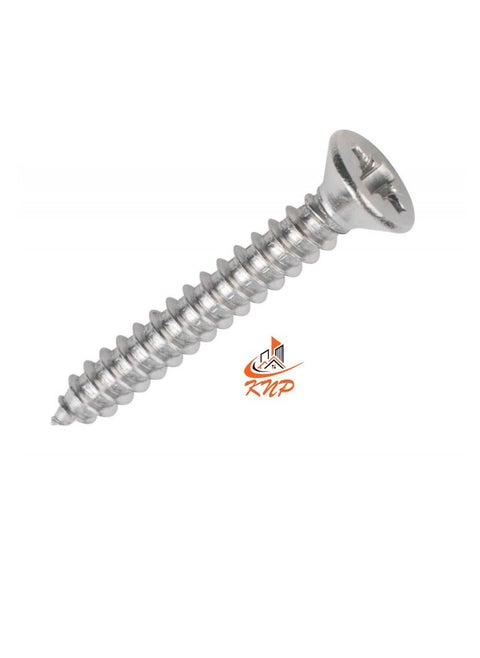 Self Tapping CSK Head Screw 10 X 2-1/2"