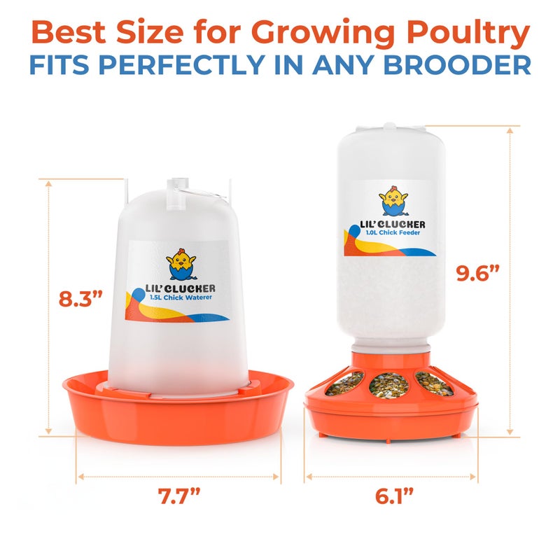 Lil'Clucker 1L Chick Feeder, 1.5L Chicken Waterer - No Leakage Chick Feeder and Waterer Kit, Hanging Baby Chick Waterer, Durable Chicken Water Feeder, Chicken Feeder and Waterer Set, Poultry Waterer - Image 3