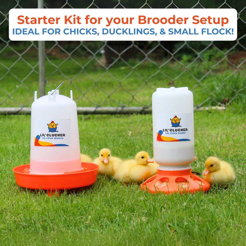 Lil'Clucker 1L Chick Feeder, 1.5L Chicken Waterer - No Leakage Chick Feeder and Waterer Kit, Hanging Baby Chick Waterer, Durable Chicken Water Feeder, Chicken Feeder and Waterer Set, Poultry Waterer - Image 4