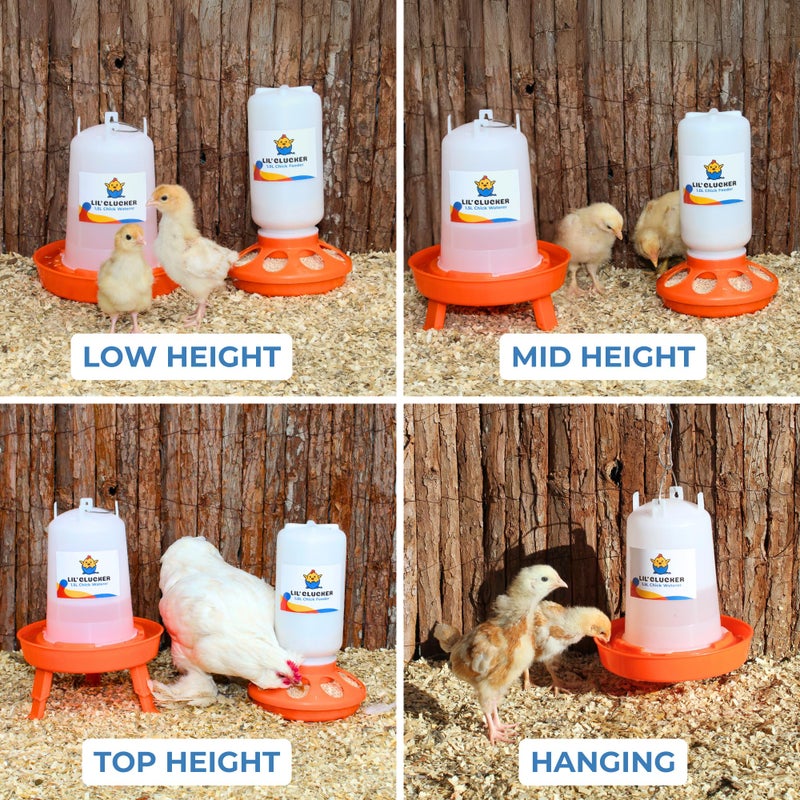 Lil'Clucker 1L Chick Feeder, 1.5L Chicken Waterer - No Leakage Chick Feeder and Waterer Kit, Hanging Baby Chick Waterer, Durable Chicken Water Feeder, Chicken Feeder and Waterer Set, Poultry Waterer - Image 2