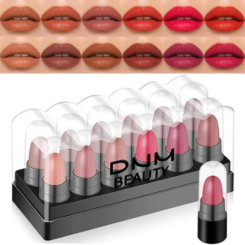 BINGBRUSH 12Pcs Mini Capsule Makeup Lipstick Pills Set Lpiz Labial Rojo Matte Lipstick Lip Stain Set Women Nude Brown Dark Red Matte Matt Lipsticks Cute Lip Stick Purse Set