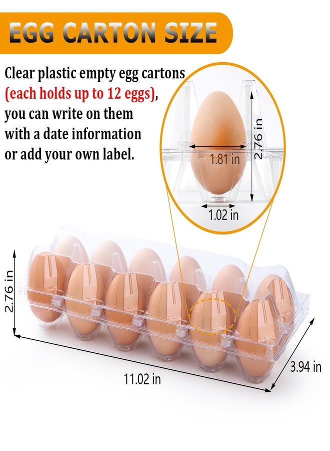 ALISWAT 100 Pack Plastic Egg Cartons 12 Count Egg Cartons Cheap Bulk for Chicken Eggs, Egg Holder Egg Container for Fresh Eggs, Reusable Egg Carton for Family, Chicken Farm and Markets, 2x6 Grid, Medium - Image 2